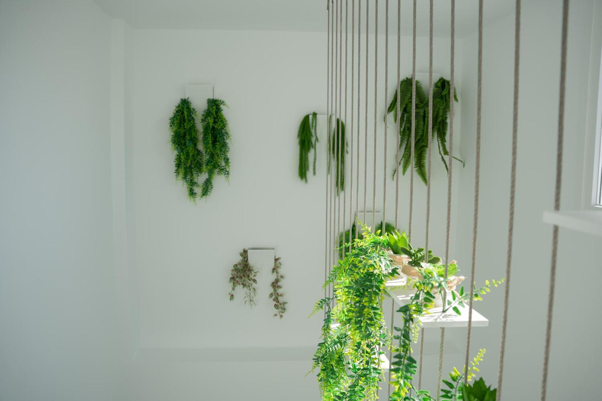 קוניל דה לה פרונטרה Apartamentos Alsa Conil מראה חיצוני תמונה